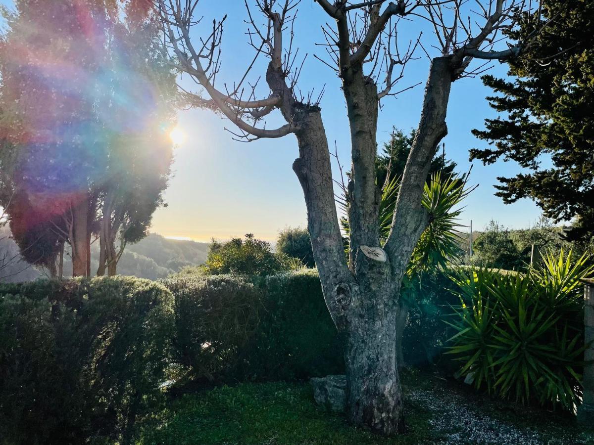 Casetta Luna E Sole Montescudaio Extérieur photo